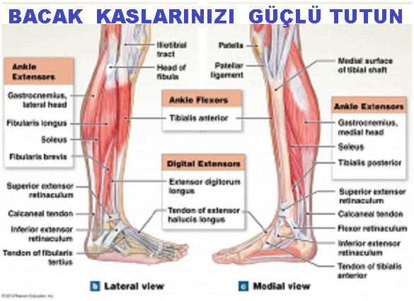 BACAKLARINIZI GÜÇLÜ TUTUN